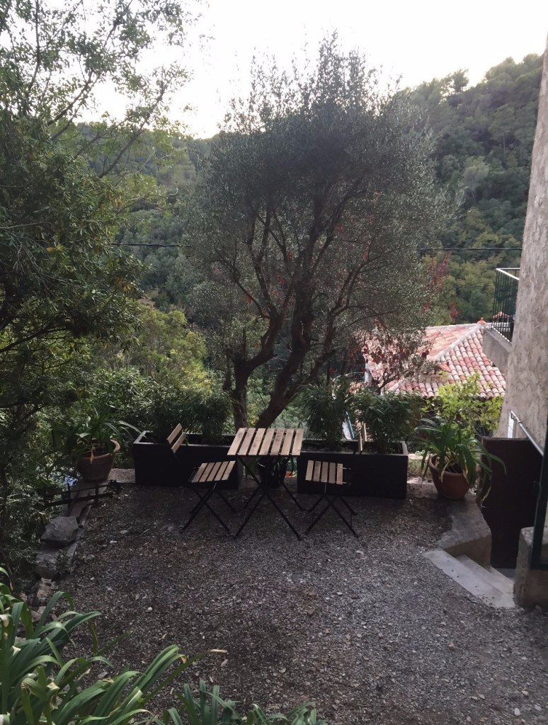 Terrace with tables and chairs for breakfast, olive and bamboo trees