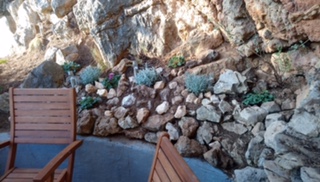 Lavender in a rockery bordering a patio
